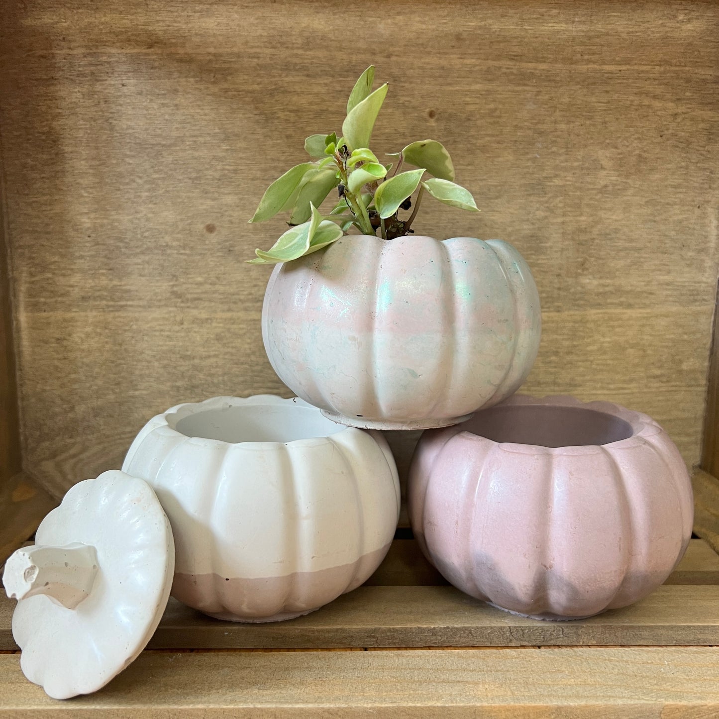Medium Pumpkin Planter