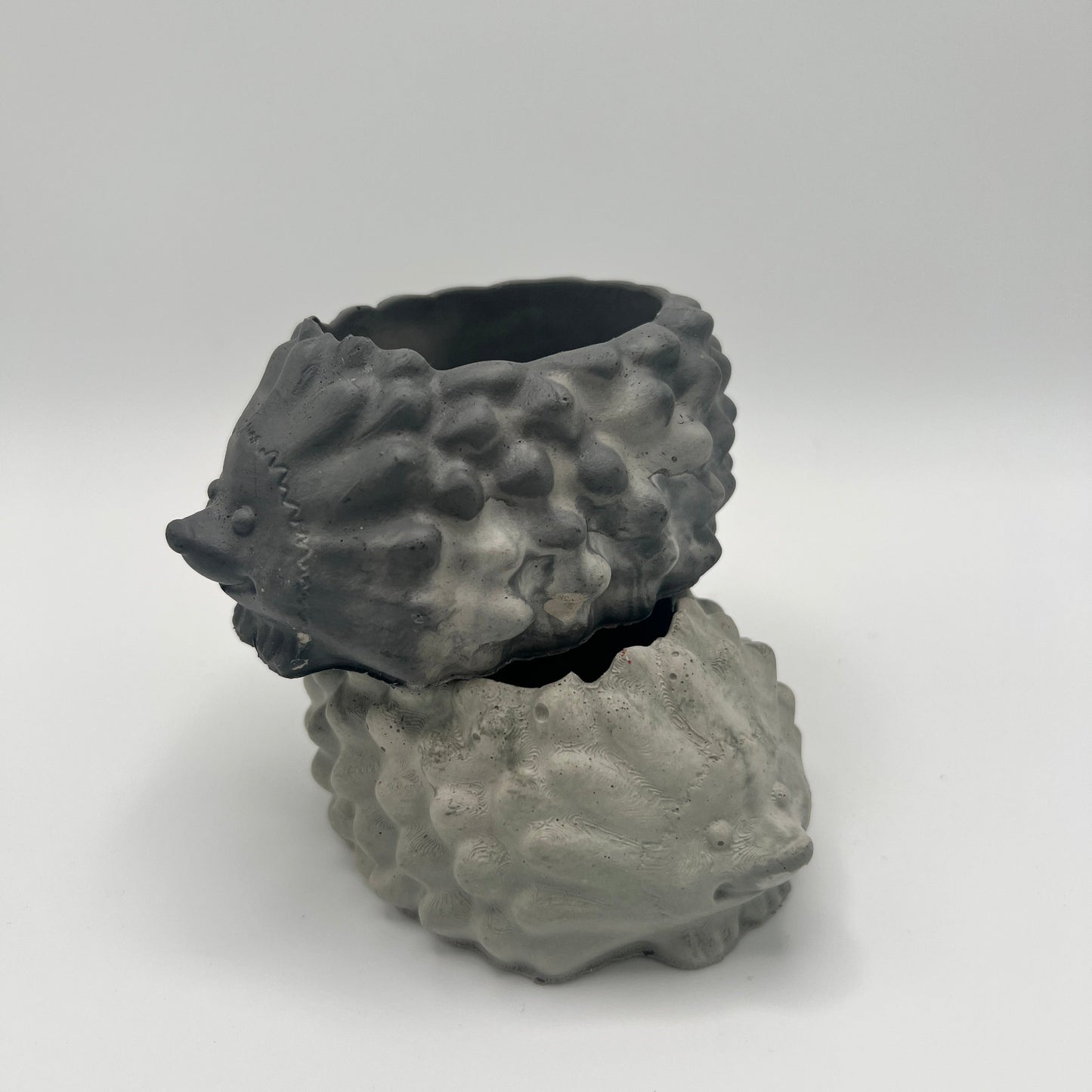 Medium Hedgehog Planter