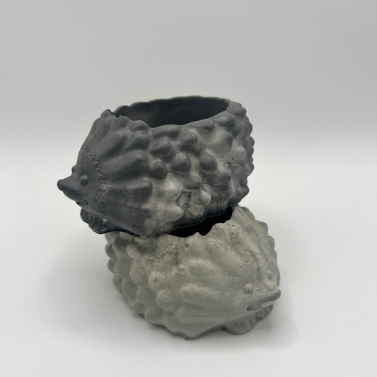 Medium Hedgehog Planter