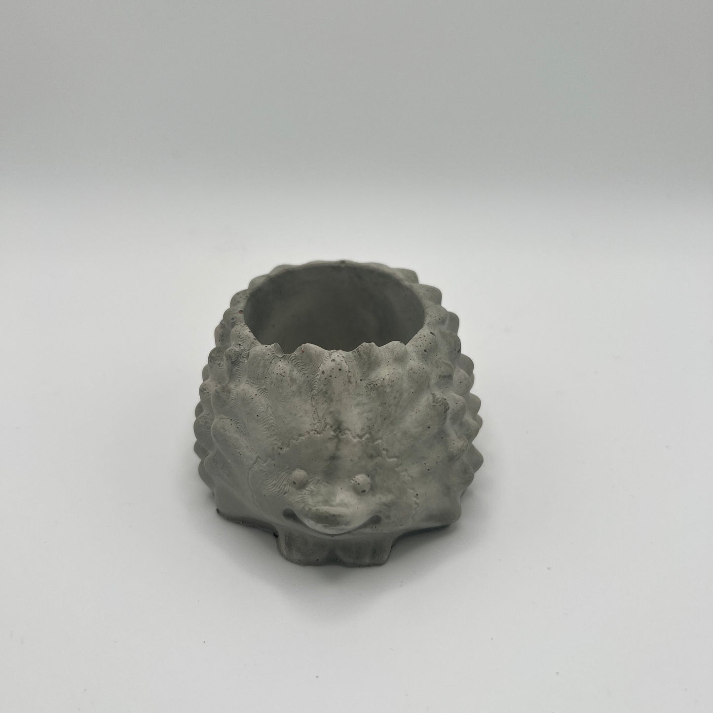 Medium Hedgehog Planter