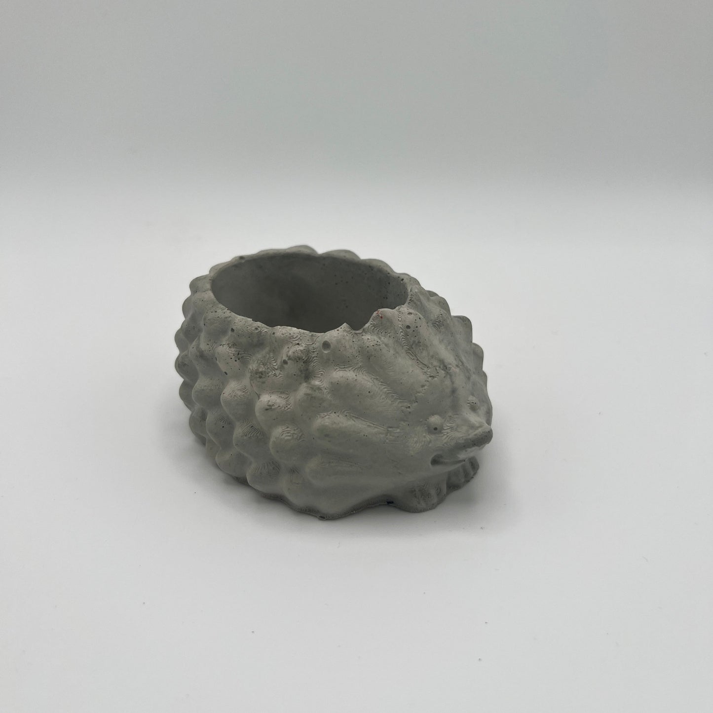 Medium Hedgehog Planter