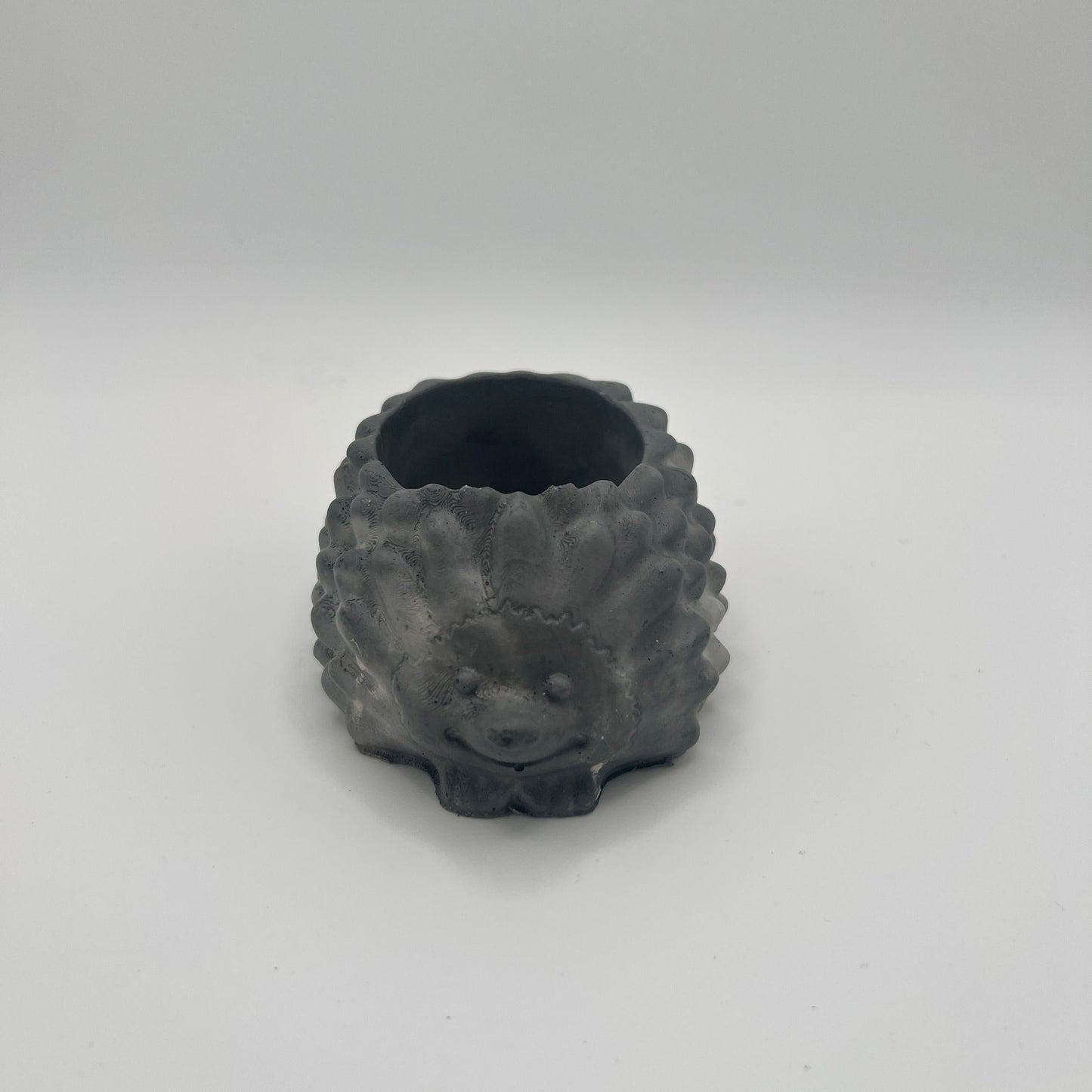 Medium Hedgehog Planter