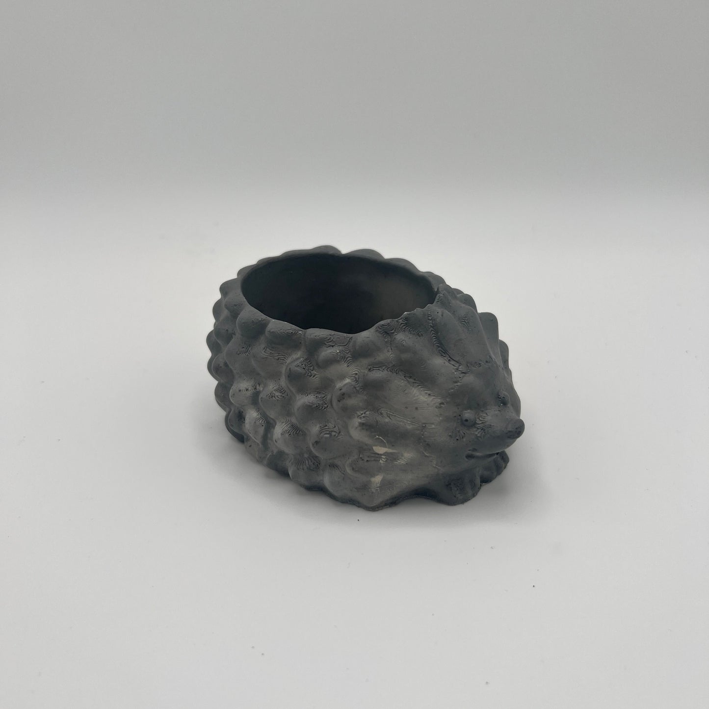 Medium Hedgehog Planter