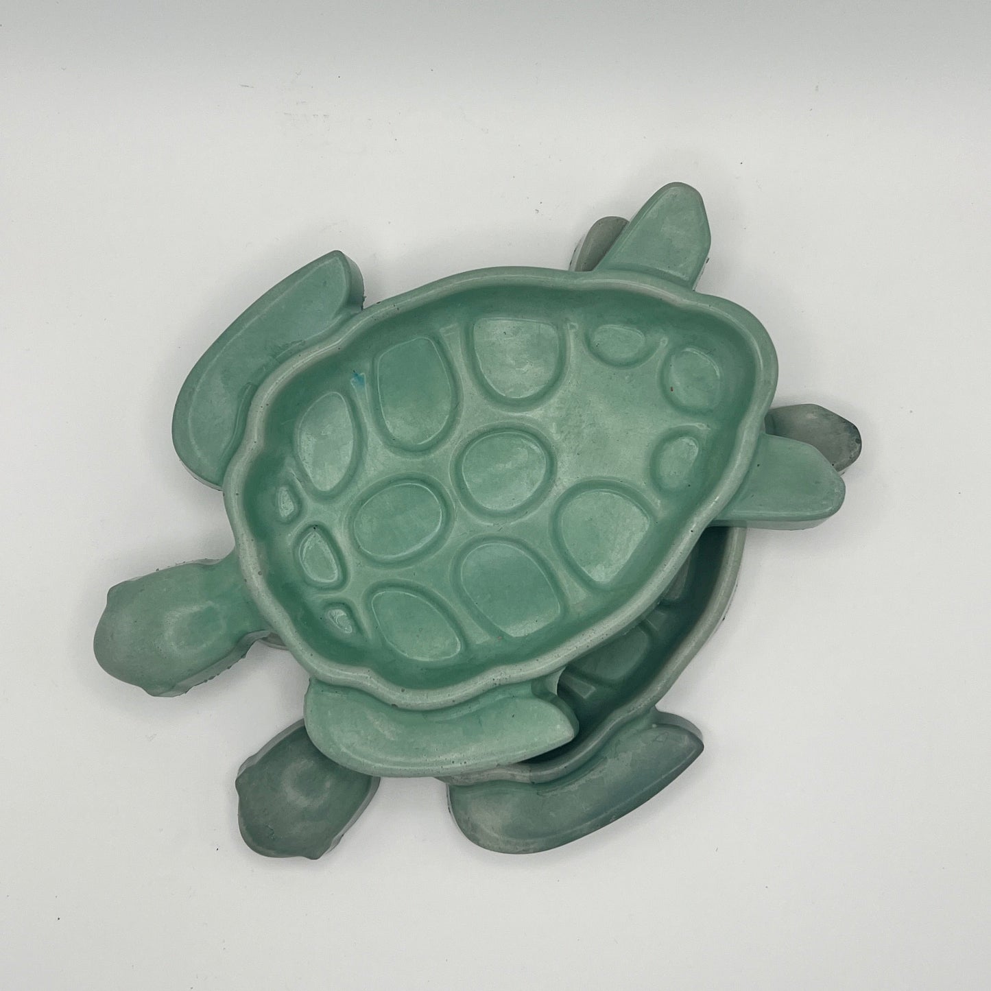 Turtle Tray
