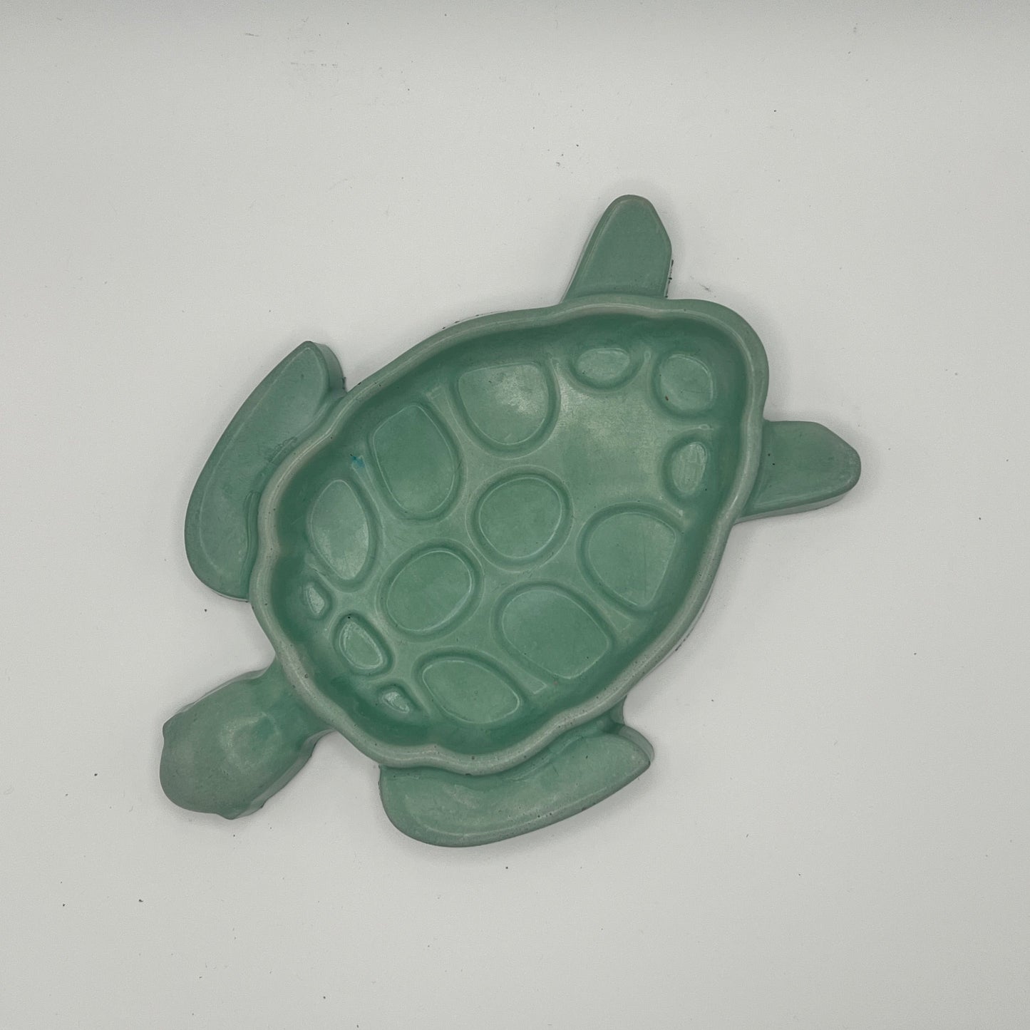 Turtle Tray