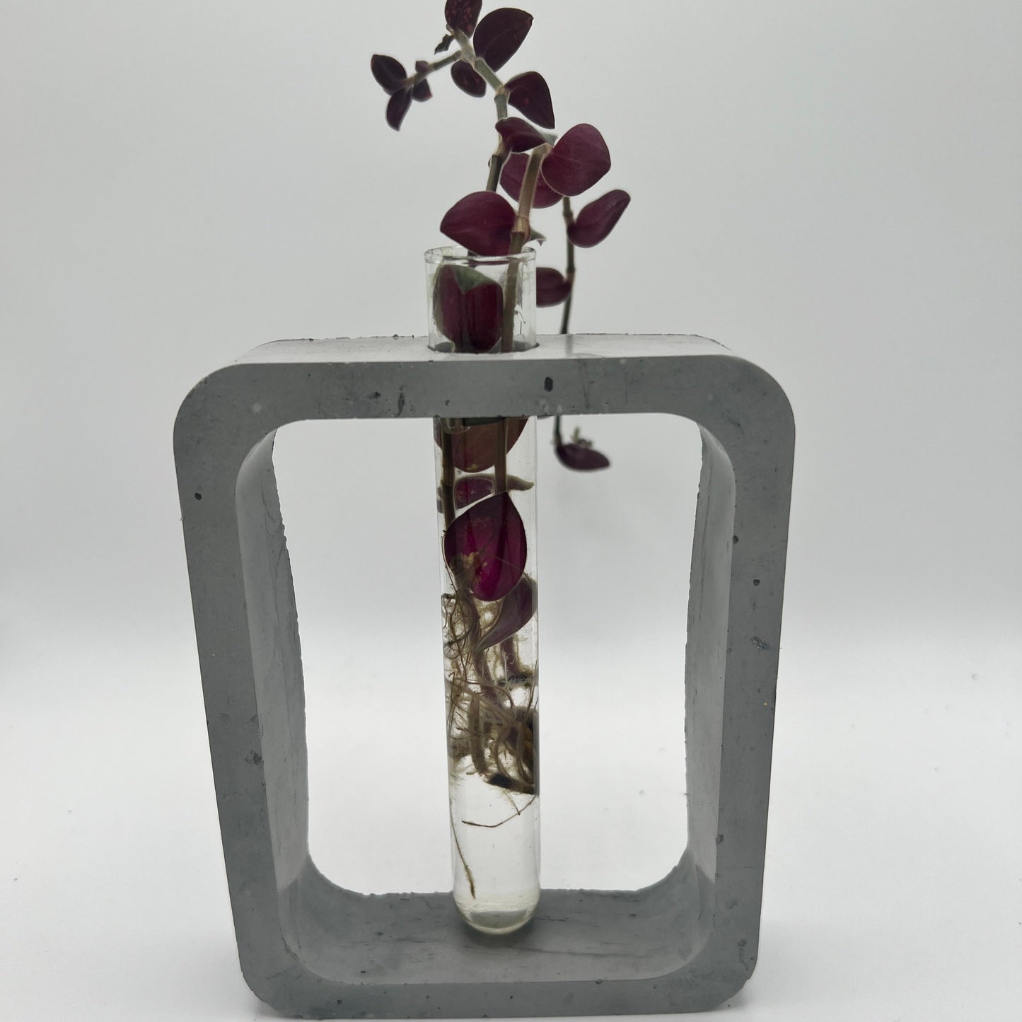 Propagation Station - Rectangle